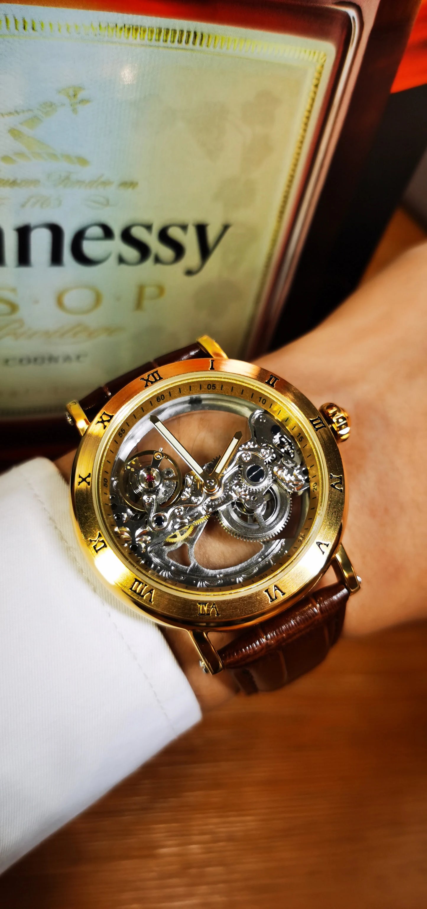 Excellence Gold Bridge Skeleton Automatic Watch for Men Luminous Hands Stainless Steel Leather Strap Luxury Mechanical Watches